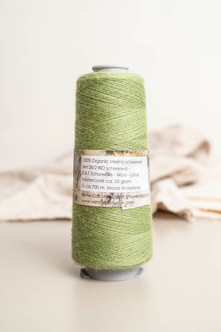 Organic Merino 28/2 - Fern