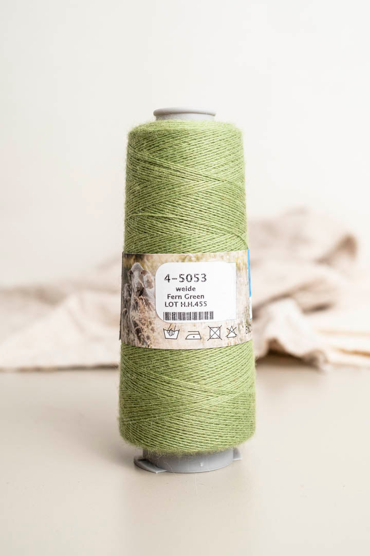 Organic Merino 28/2 - Fern