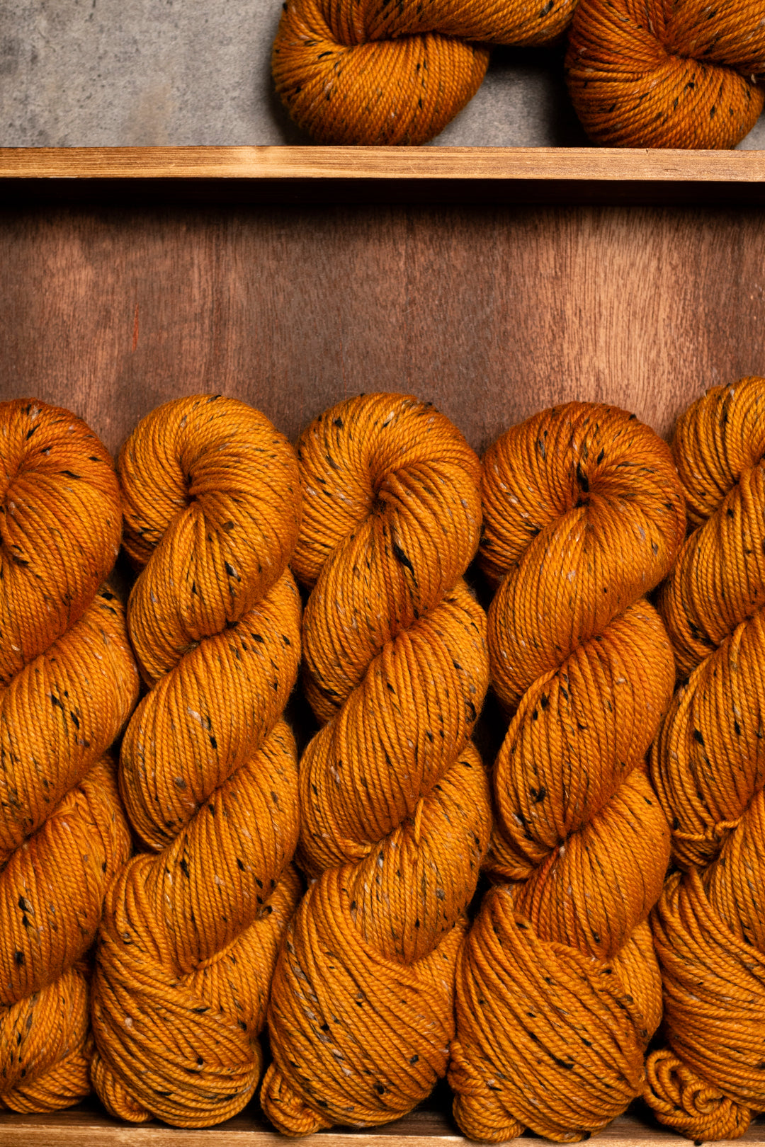 NSW Tweed - Amber
