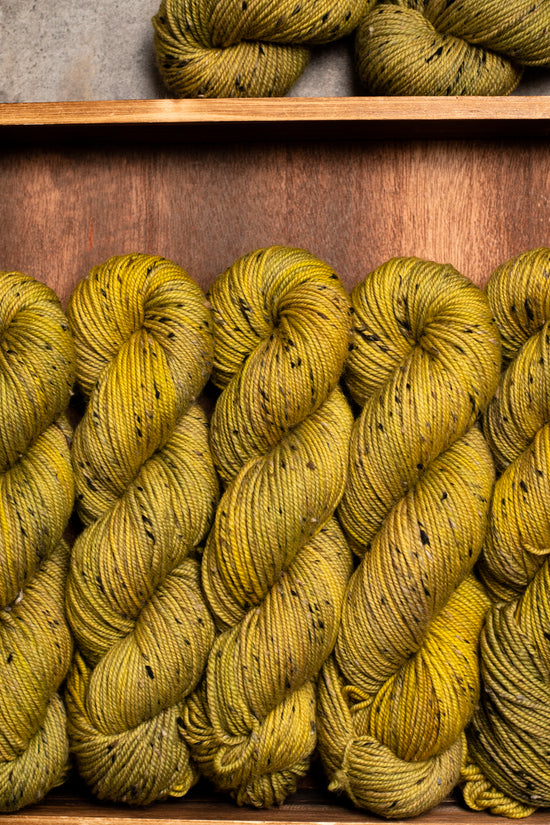 NSW Tweed - Cat's Eye