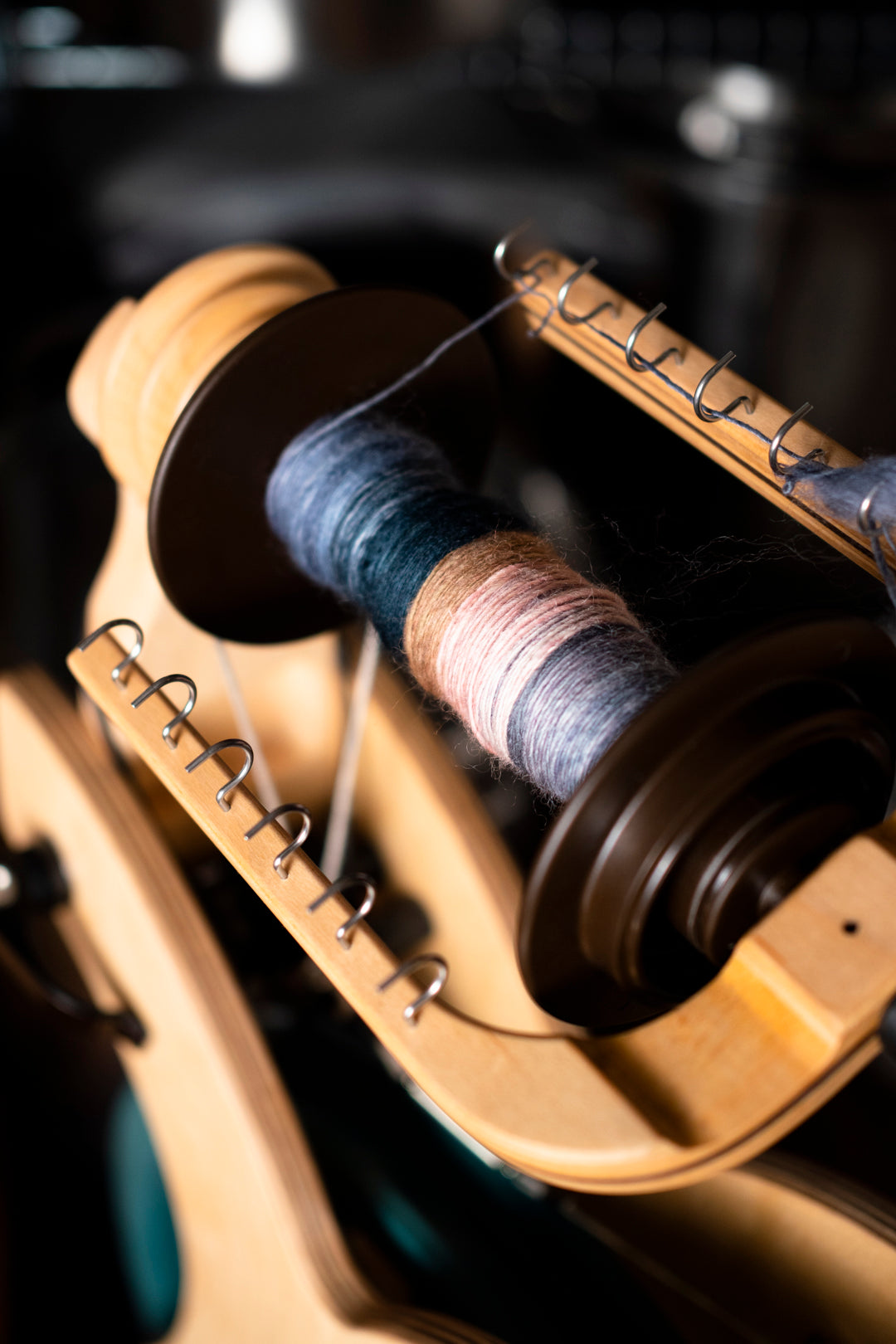 House of Wool Emily C Gillies