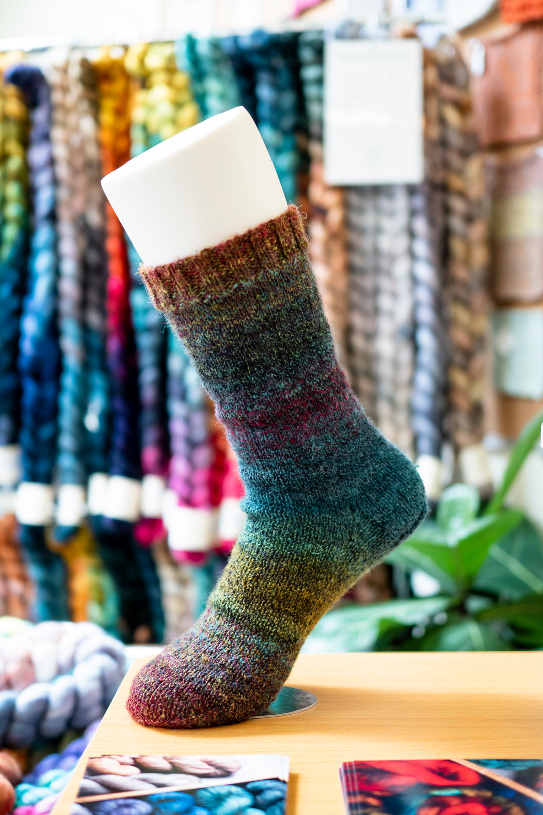 House of Wool Emily C Gillies